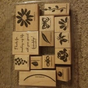 Stampin Up Watercolor Garden stamp set.